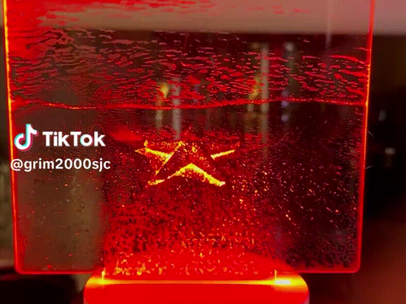 Starfish Beach Scene LED Nightlight