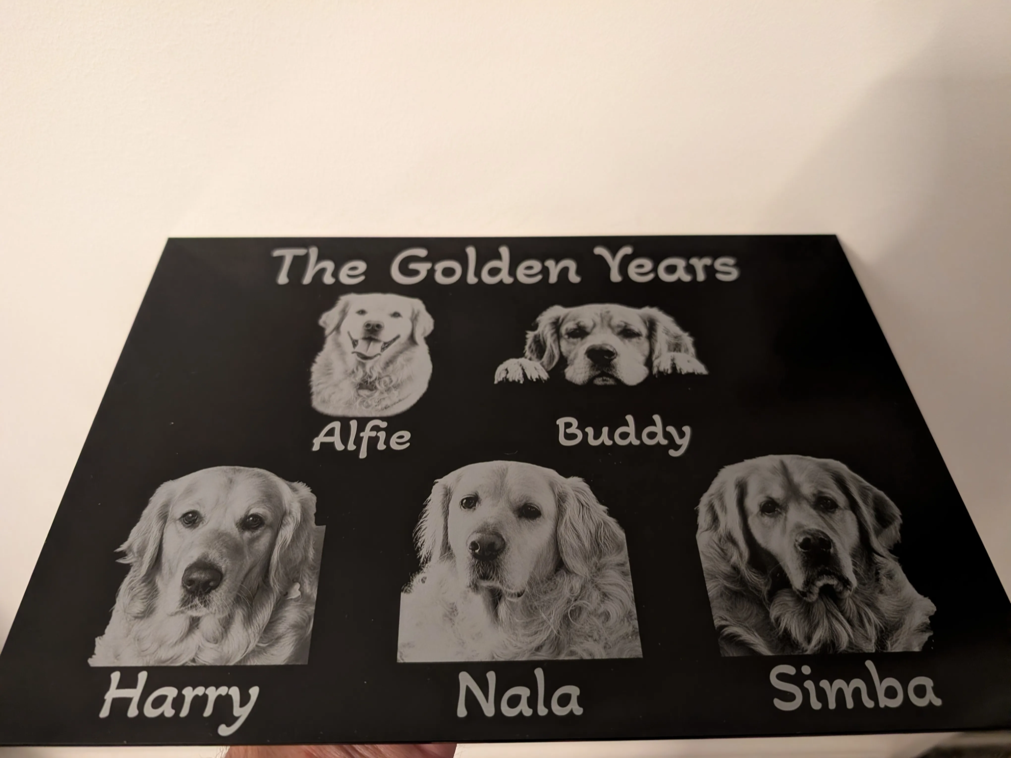 The Golden Years Personalized Dog Memorial Plaque with Five Golden Retriever Portraits laser engraved pet portrait idea