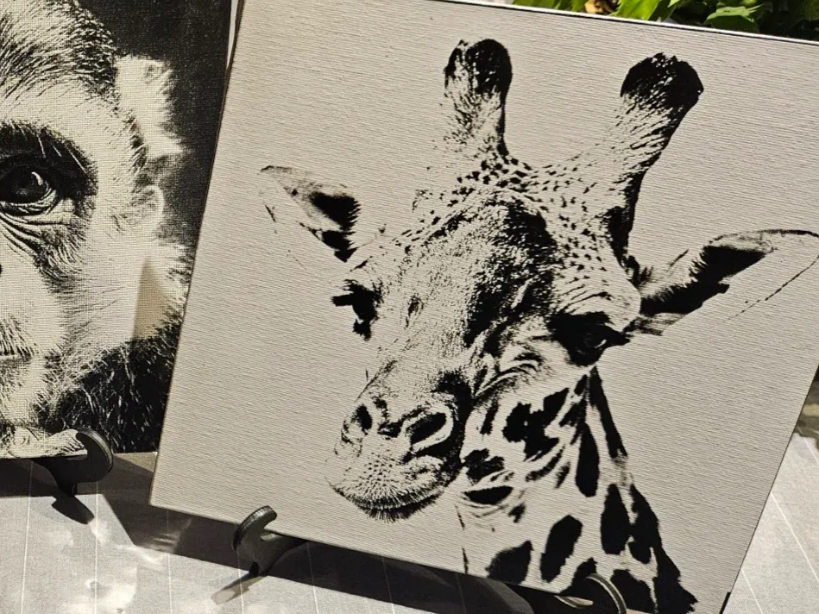 Tableau carré noir et blanc représentant une girafe