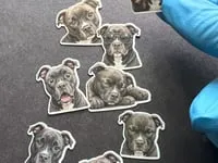 [Inkjet printing,Laser cut and engrave] Staffordshire Bull Terrier Dog Stickers Set