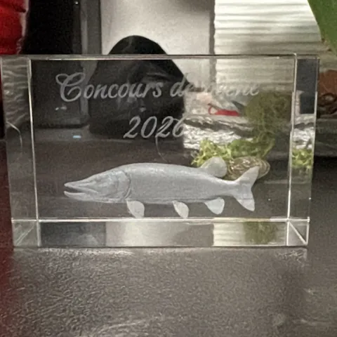 K9 Innenraum Sculpted Glass