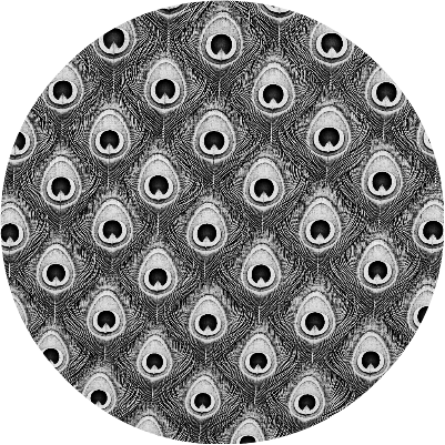 Untitled.xs