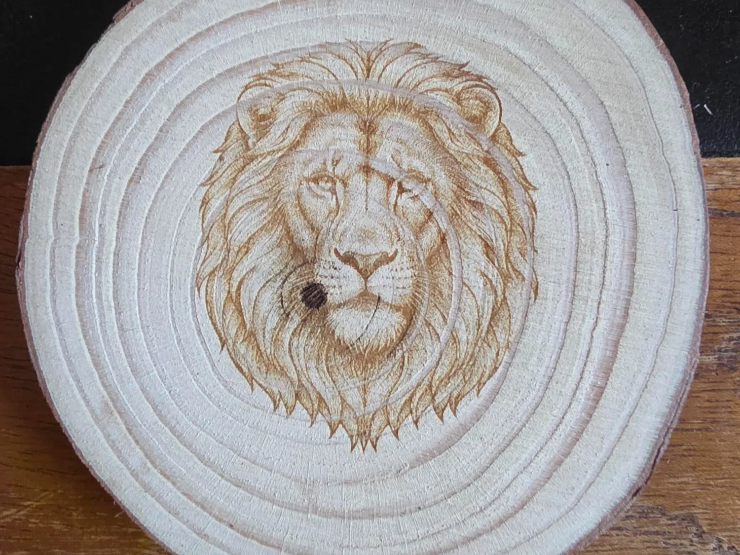 Lion Head Portrait on Natural Wood Slice