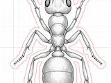 [Laser cut and engrave] Ant Silhouette