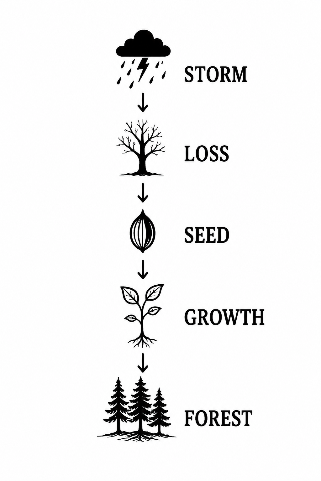 The Last Seed - Giving Nature a Second Life instruction: step 9 - Engrave the Gourd Back