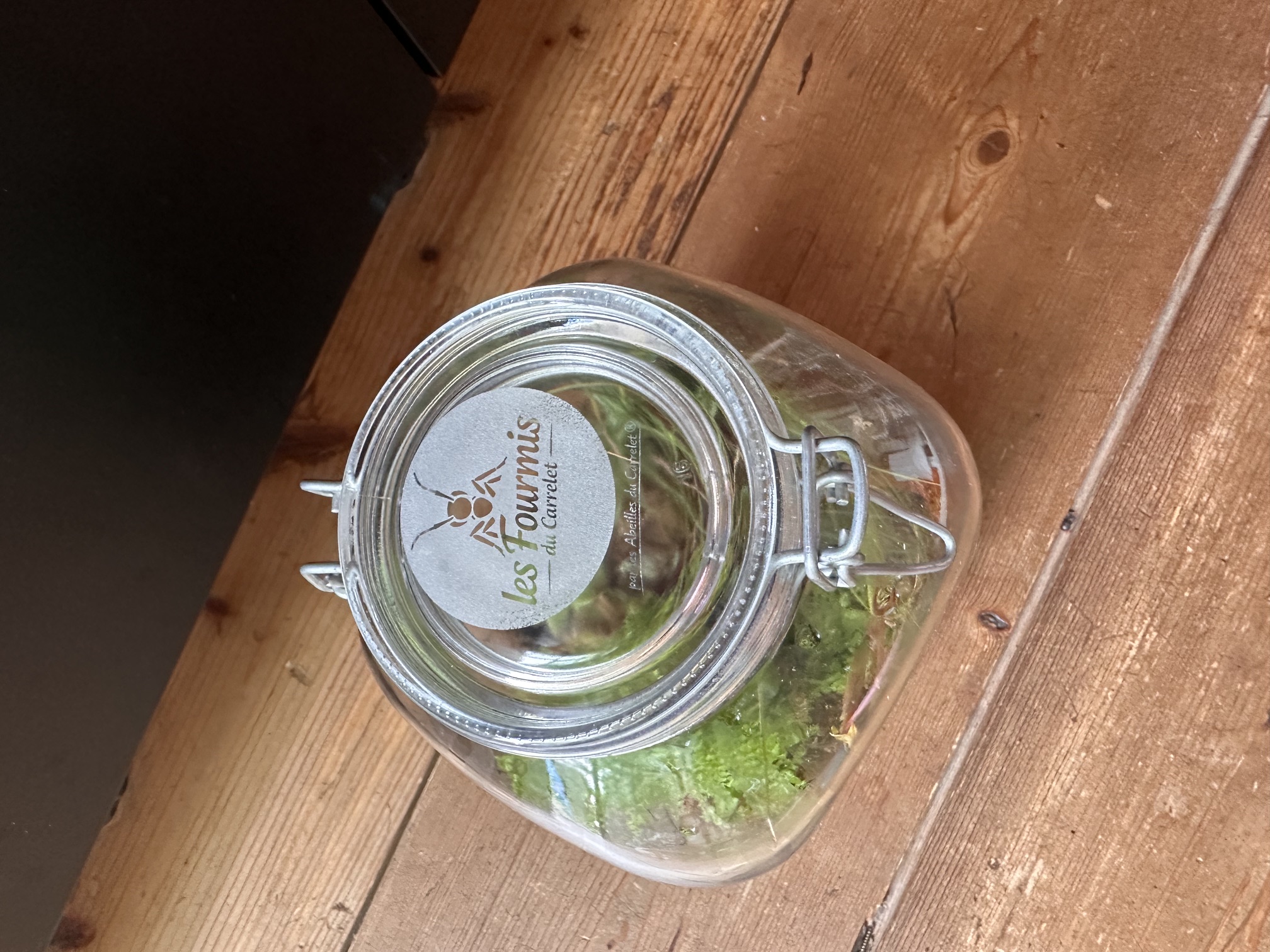 [Laser cut and engrave] Gravure sur verre - couvercle bocal