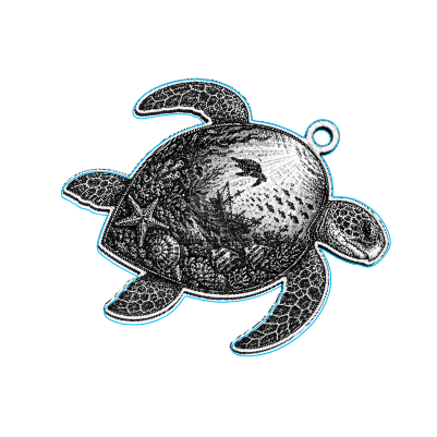 Sea Turtle.xs