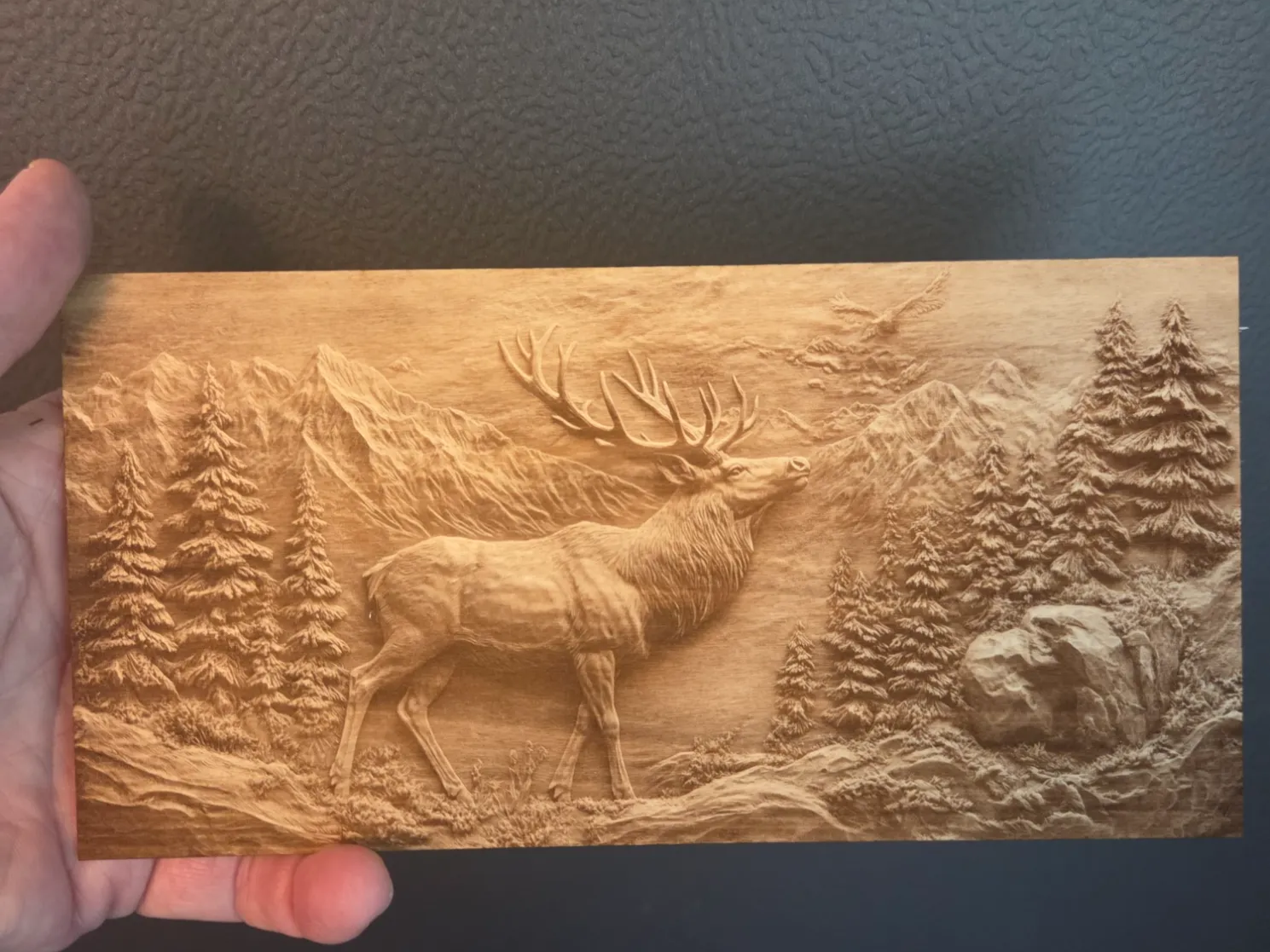 Elk in a Mountain Forest Landscape