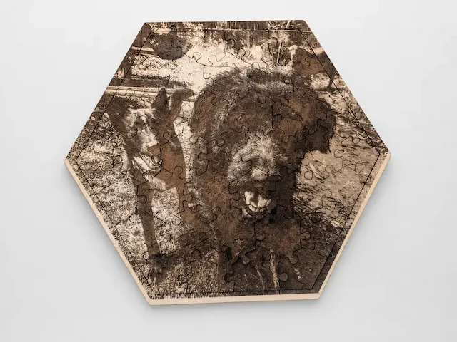 Hexagonal wooden jigsaw puzzle featuring dogs portrait