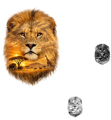 Lion.xs