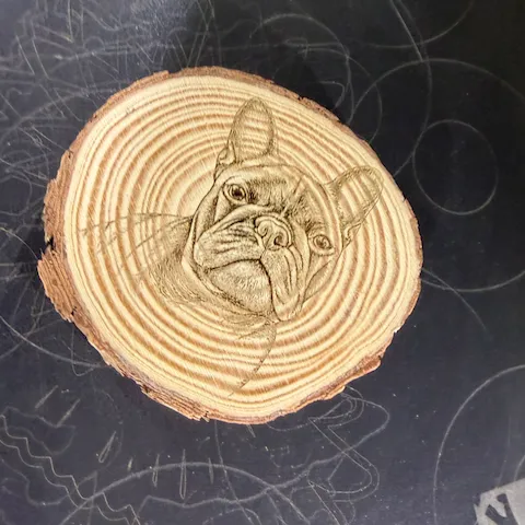 Natürliche Holzscheibe