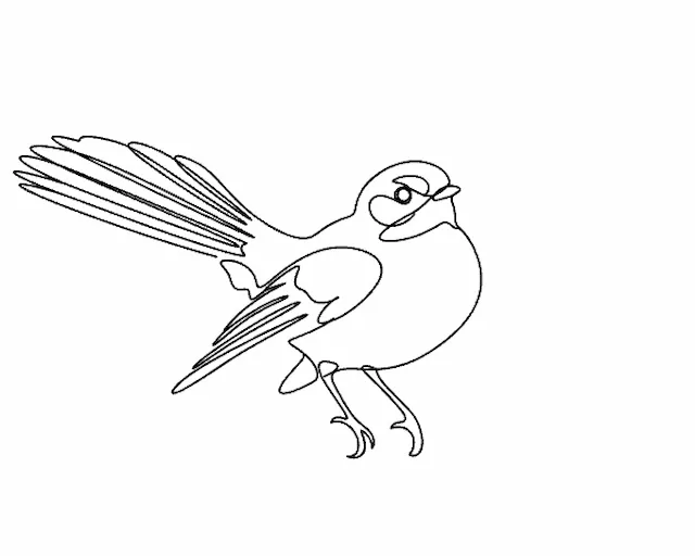 Grey Fantail_02_lineart.svg
