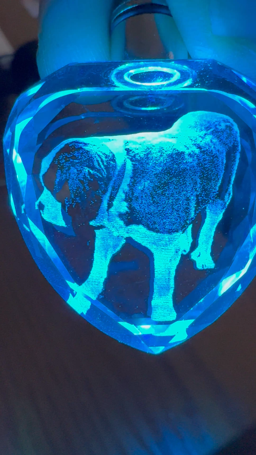 [Laser cut and engrave] Heart-Shaped Crystal Keychain with Dog Portrait