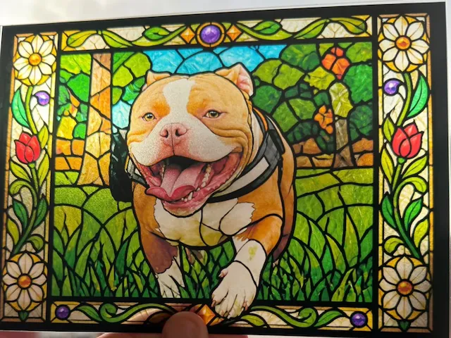 mascota