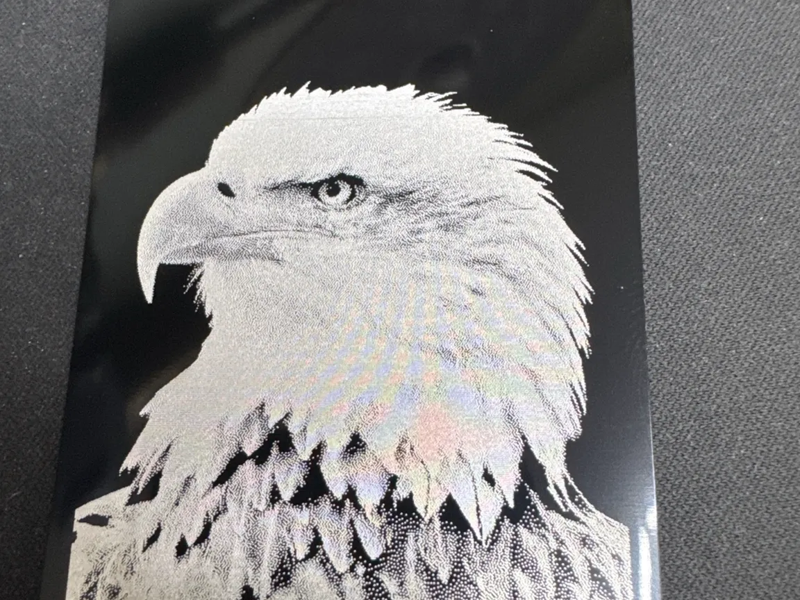 Bald Eagle Portrait Wall Art