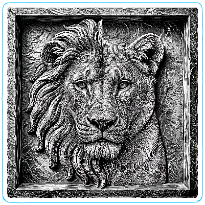 Lion - Lionne.xs
