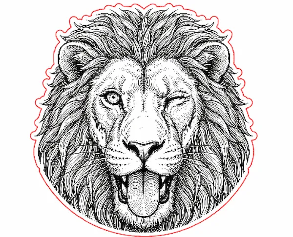 face funny lion.xs