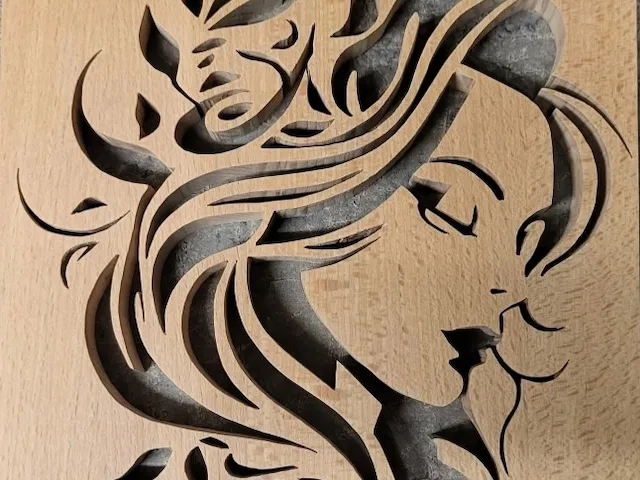 visage femme