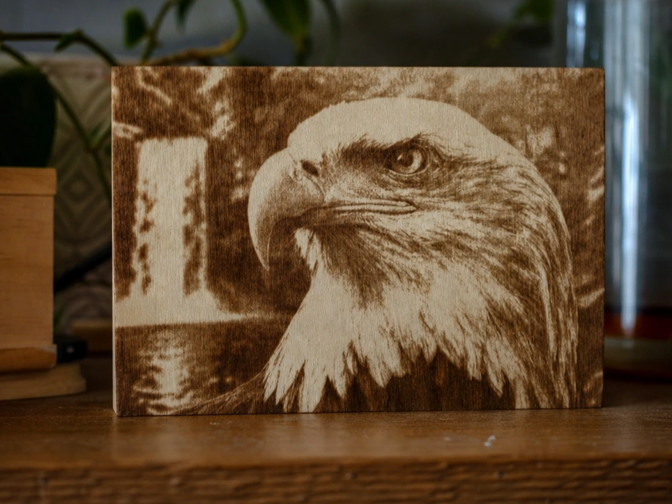 Bald Eagle and Waterfall Wooden Wall Art Plaque