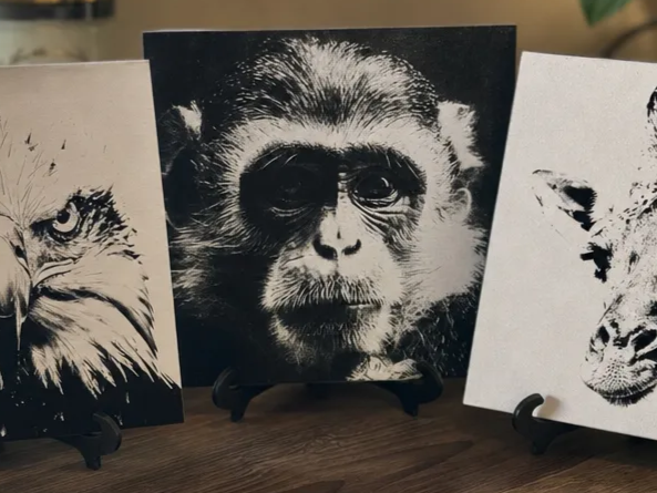 Tableau carré noir et blanc représentant un portrait de singe