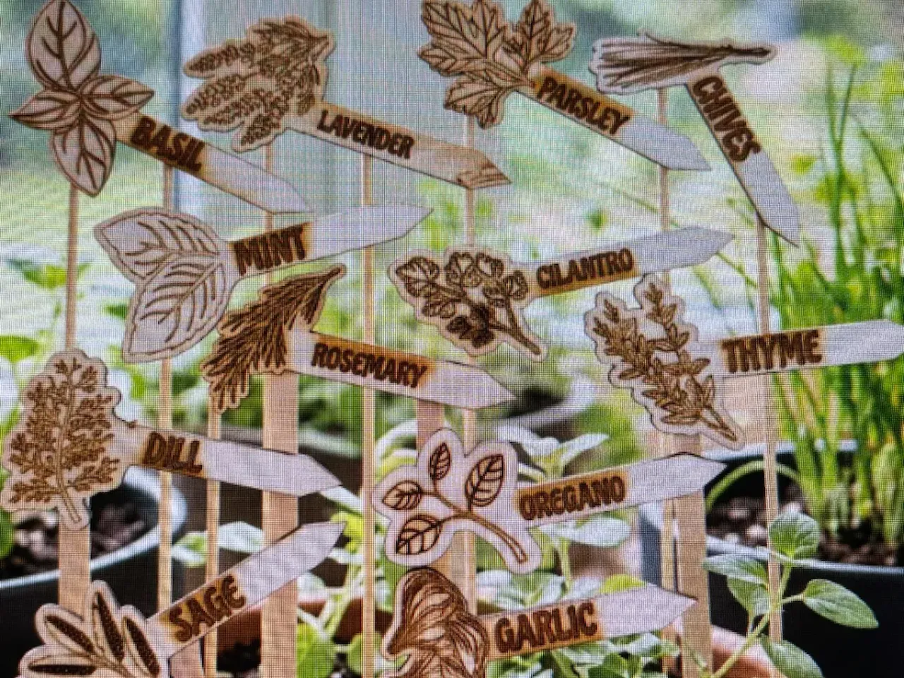 [Laser cut and engrave] Wooden Herb Garden Plant Markers with Illustrated Labels