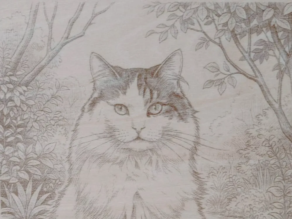 Cat portrait in a garden setting