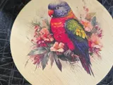 [Laser cut and engrave,Inkjet printing] Round Wooden Keepsake Box Featuring a Lorikeet Bird and Nan Inscription
