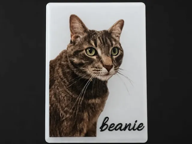Beanie in situ