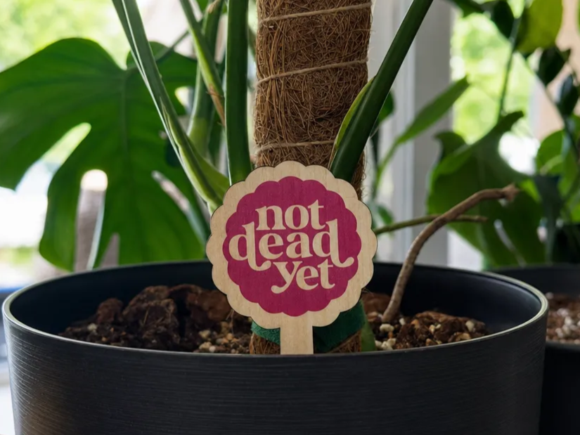 Free Plant Stakes Bundle - Engrave or Print and Cut Custom Plant Markers