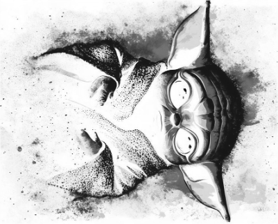 toile-bebe-yoda-S1.xcs