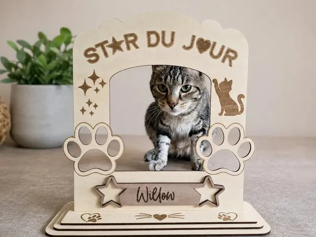 Cat photobooth