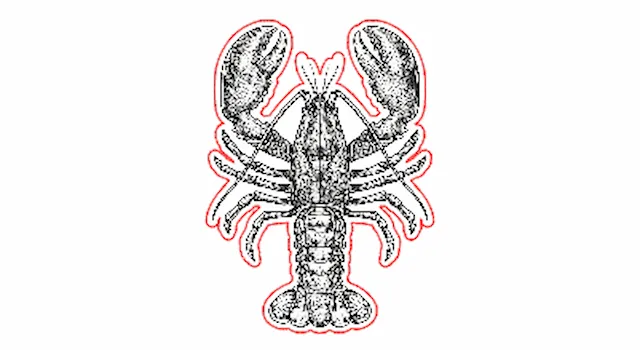 crab1.xs