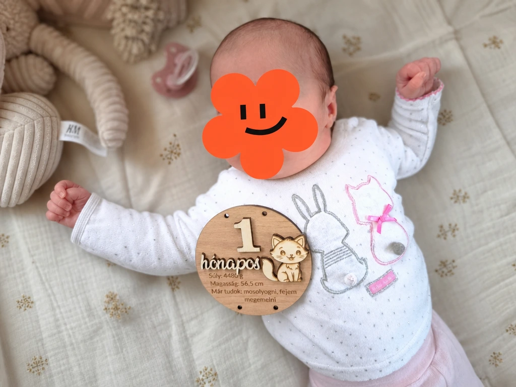 Wooden monthly baby milestone marker with cat