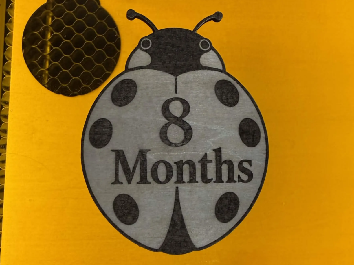 8 Month Ladybug Card