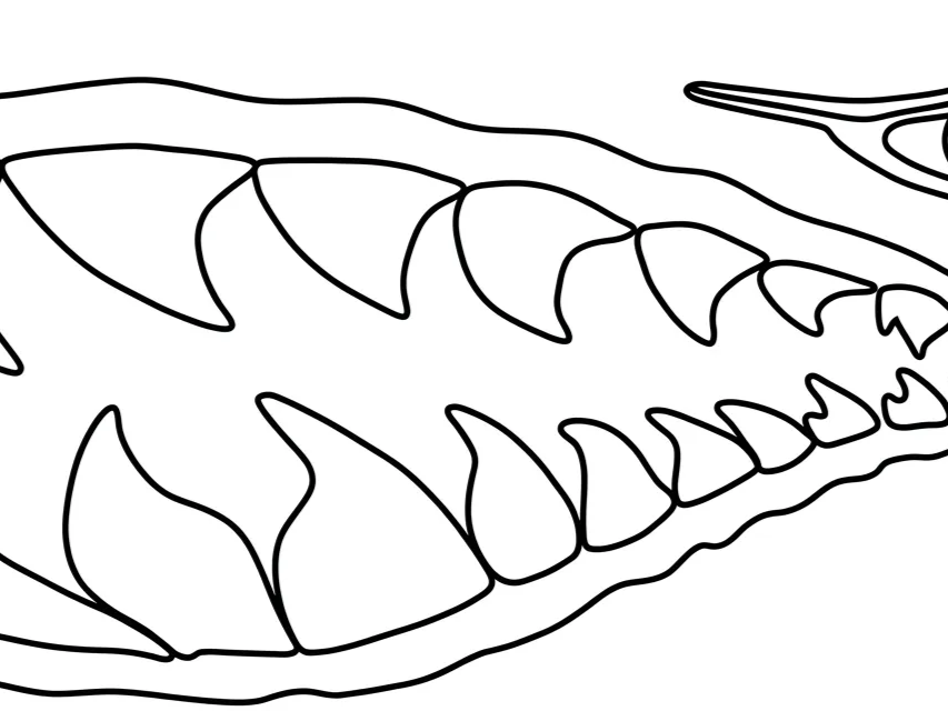stretched and modded hand sketch