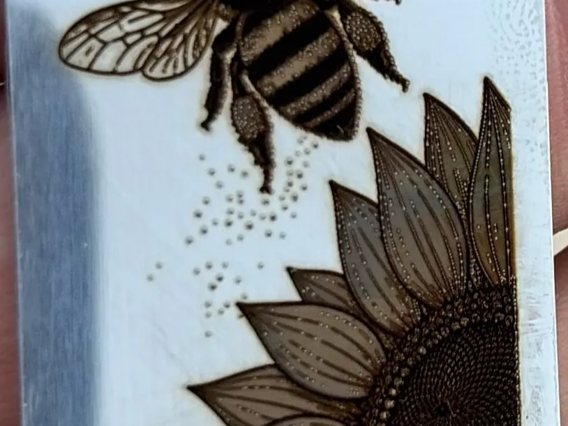 Bee and Sunflower