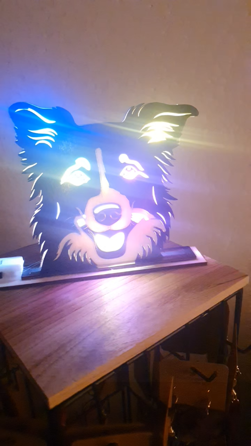 [Laser cut and engrave] Lampada da tavolo a forma di cane border collie