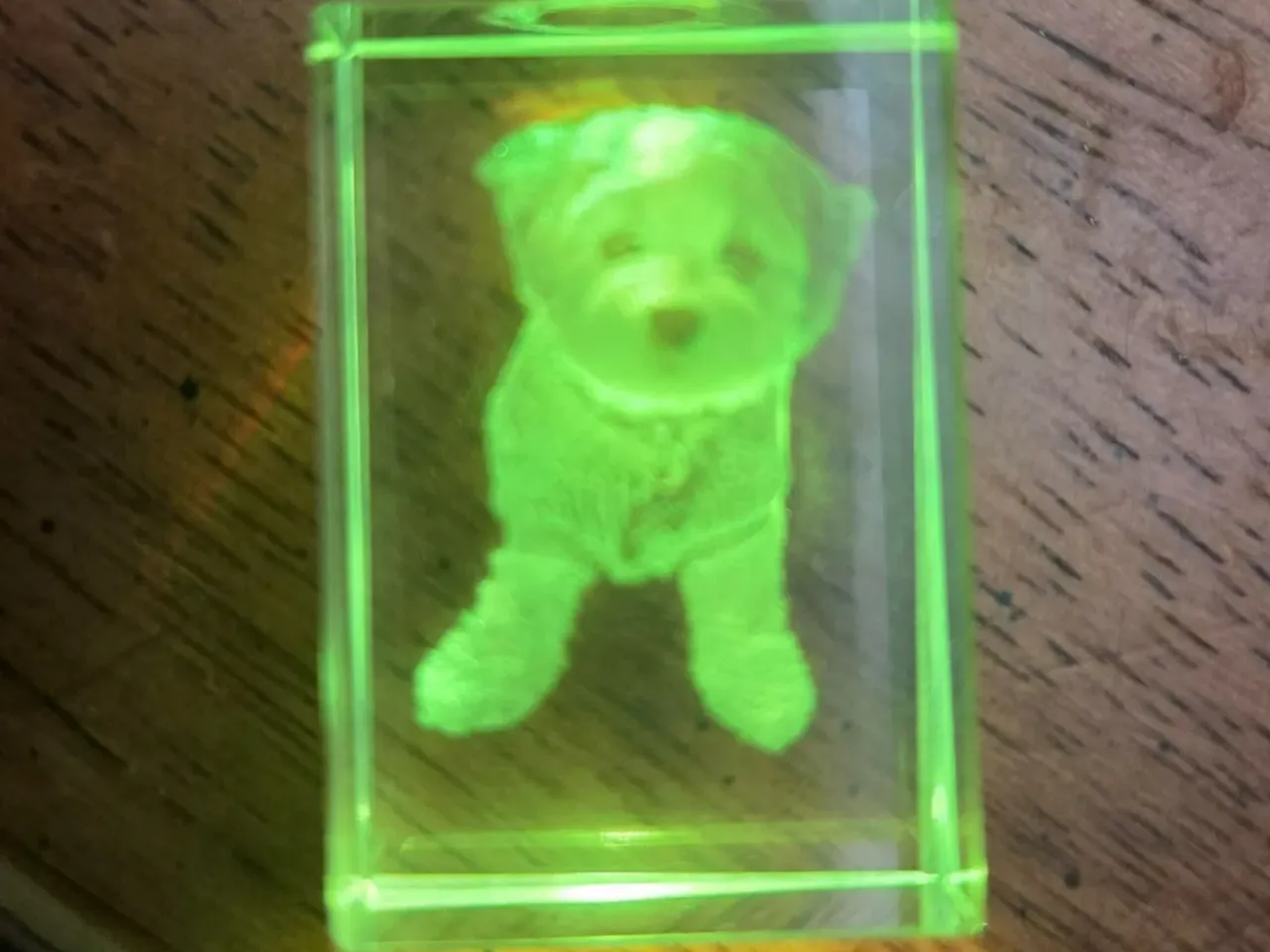 [Laser cut and engrave] Glowing Green Crystal Block with Puppy Portrait