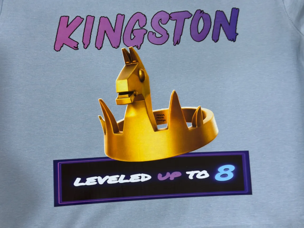 [DTF Printing] Kingston Leveled Up To 8 Birthday T-Shirt with Llama Crown Graphic