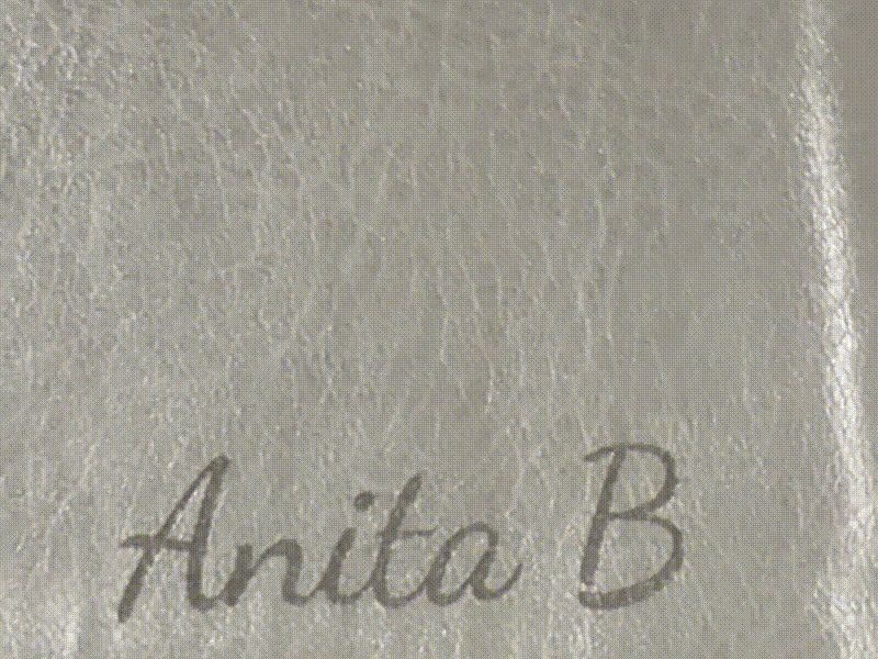 Personalized a Gray leather Bible