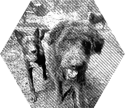 Untitled.xs