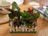 [Laser cut and engrave] Cache-pot boite cadeau  pour 2 petits pots de fleurs.