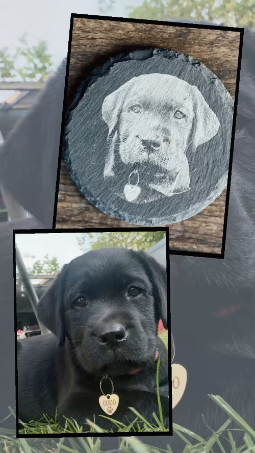 [Laser cut and engrave] Runder Schieferuntersetzer mit Labrador Welpen Porträt