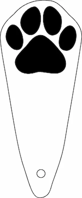 Untitled.xs