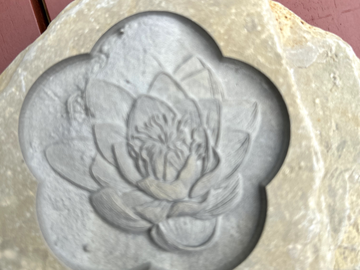 Deeply Embossed Water Lilly Flower On Beach Pebble Or River Stone