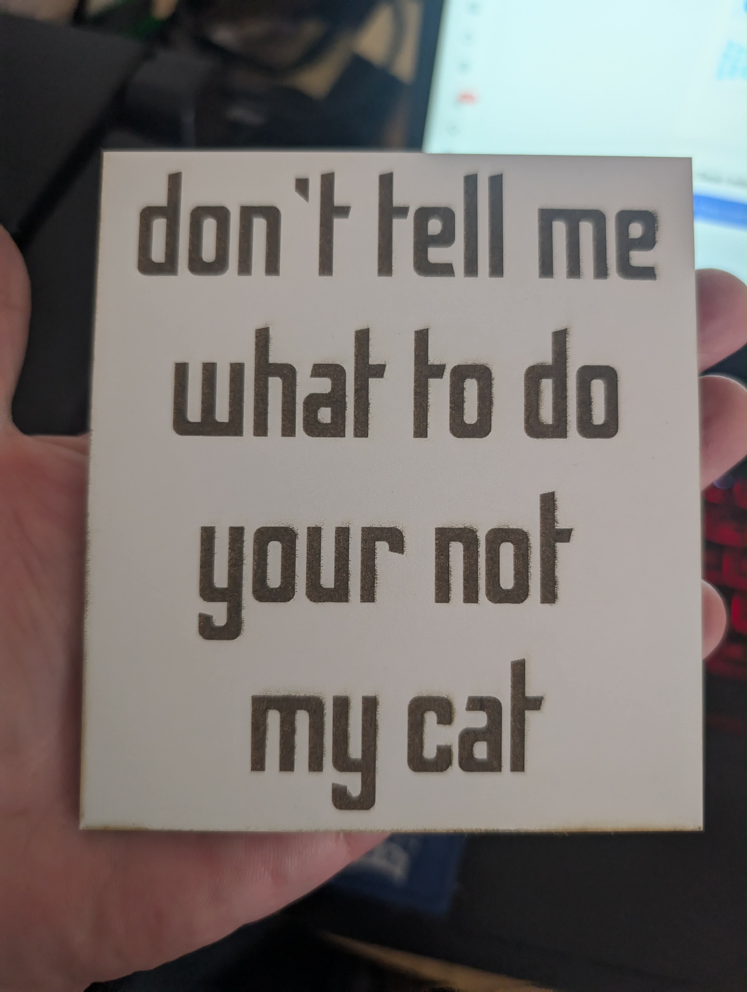 [Laser cut and engrave] Don't Tell Me What To Do Your Not My Cat Wooden Sign