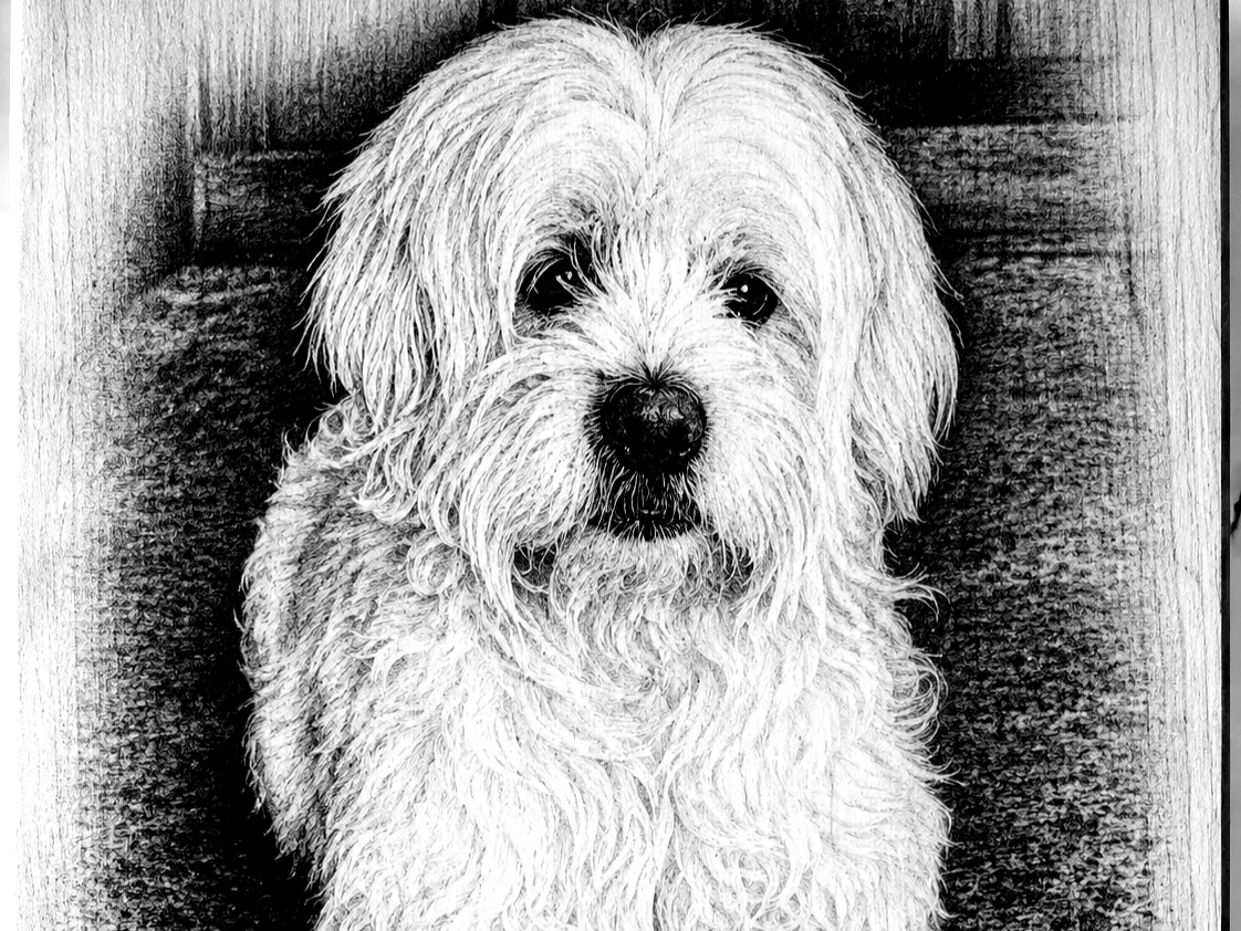 Foto retrato en pino rustico