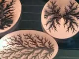 [Laser cut and engrave,Screen printing] Oval Wooden Keychains with Colorful Fractal Tree Patterns