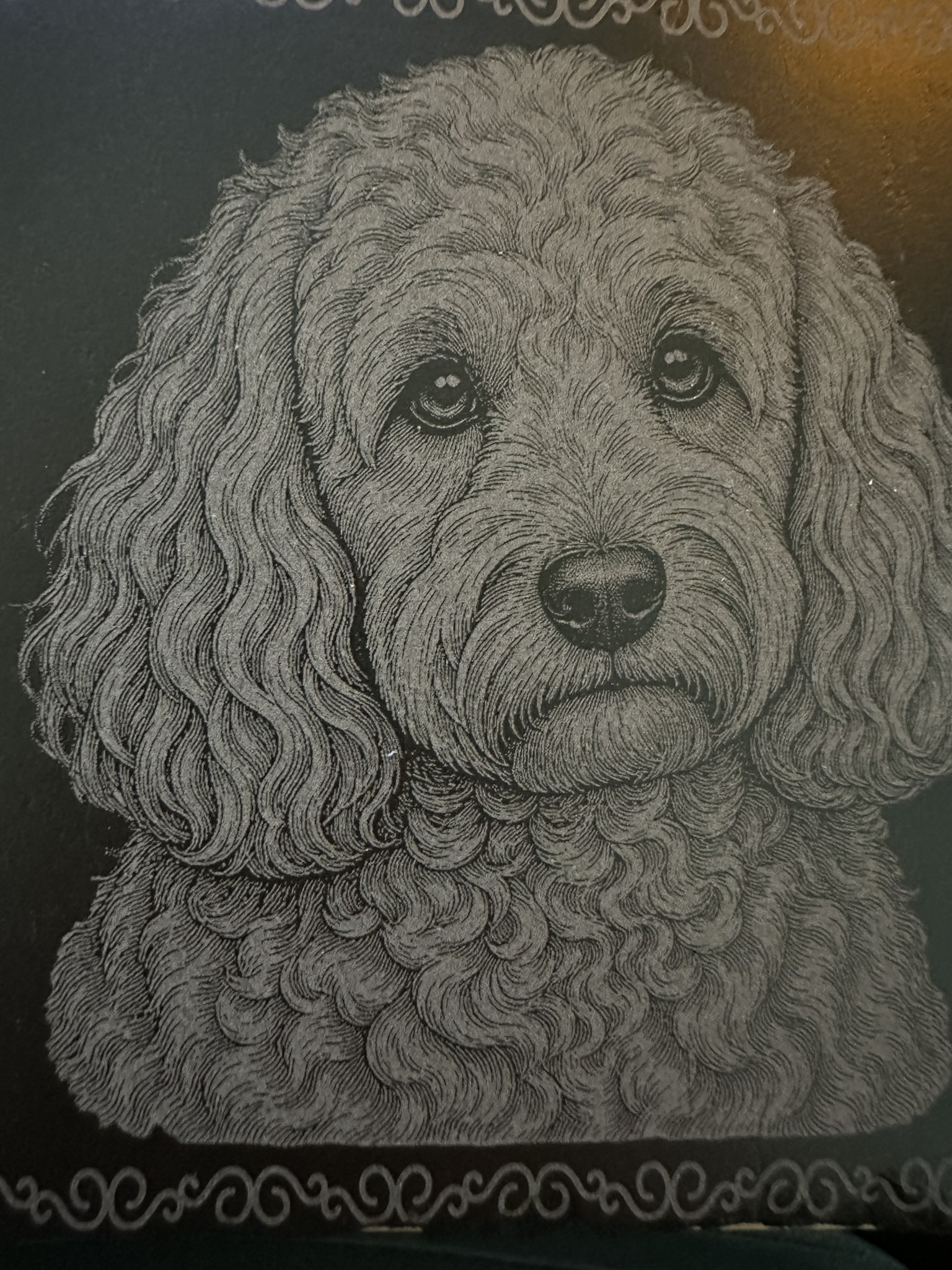 แกะสลักกระดานชนวน Cockapoo instruction: step 1 - 
