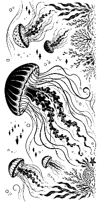 Jellyfish.xs